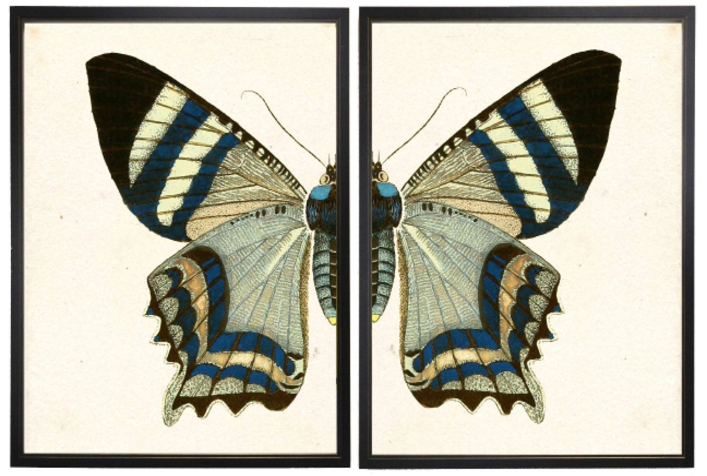 Diptych Grey Butterfly